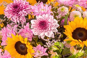 🌻 Nur noch bis morgen: