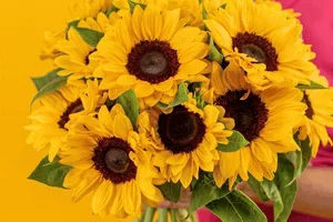☀️ Sommerlieblinge ab 29,99 €