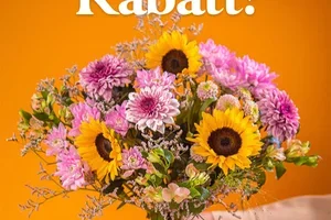 🌻 Bis zu 15 % auf Sonnenblumen