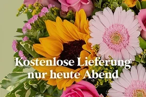 Verpasst? 💛 Heute Abend gratis Versand!
