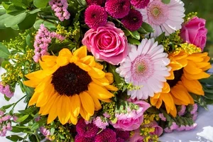 🌻 Sonnenblumen blühen noch