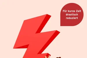 Jetzt viele Artikel drastisch reduziert im Flash SALE!