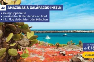 Die neuen Angebote sind da!