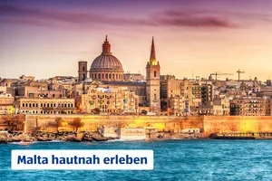 Die neuen Angebote sind da!