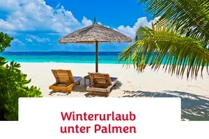 Sonne tanken im Winter 🏝️☀️