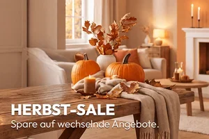 🍂🍁Unsere TVs im HERBST-SALE