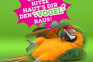 Zu heiß draußen? 🥵
