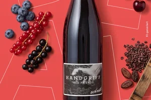 Deal der Woche: 50 % auf Handgriff Red Friends