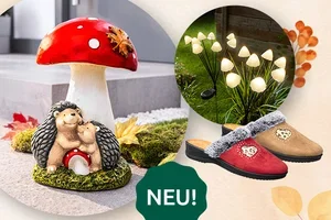 Neu im Shop ⭐