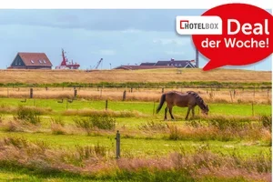 HOTELBOX DEAL der Woche: Auf in den Norden! 🧭 🇩🇪