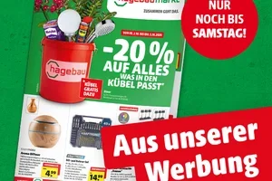 Verpasse nicht die aktuellen PREISKNALLER!