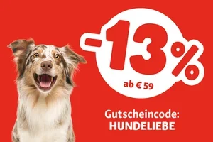 -13 % auf alles für deine Fellnase 🐾⏳ Nur noch HEUTE!