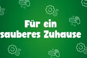 Katzenpflege leicht gemacht 🐈🐾