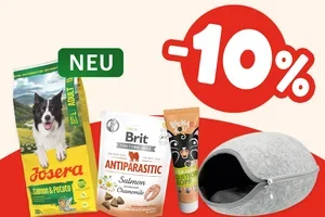 -10 % auf ausgewählte Neuheiten 🤩