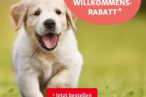 10 % für deine erste Online-Bestellung