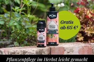 Dünger gratis sichern – für kräftiges Grün im Herbst