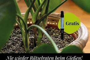 Ab 40 € PON-Einkaufswert: Gießanzeiger gratis