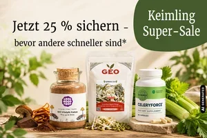 🚨 Super Sale erhöht: Jetzt 25 % Rabatt