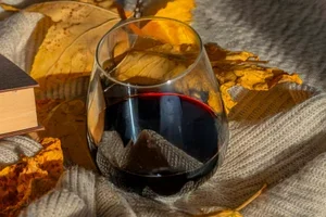 Ein neuer Lieblingsrotwein wartet auf dich 🍷