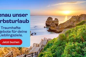 Bei uns macht der Sommer Überstunden 🌞