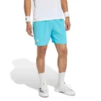Ergo 9Inch Shorts Herren - türkis
