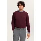 Pullover Rundhals Basic Essential aus reiner Baumwolle in brombeere