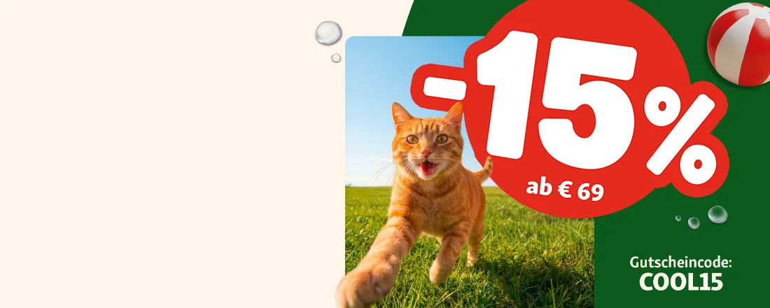 Nachweis des Gutscheins - Fressnapf - Fressnapf gutschein: [[15% Rabatt]] ab € 69 auf tierbedarf sichern