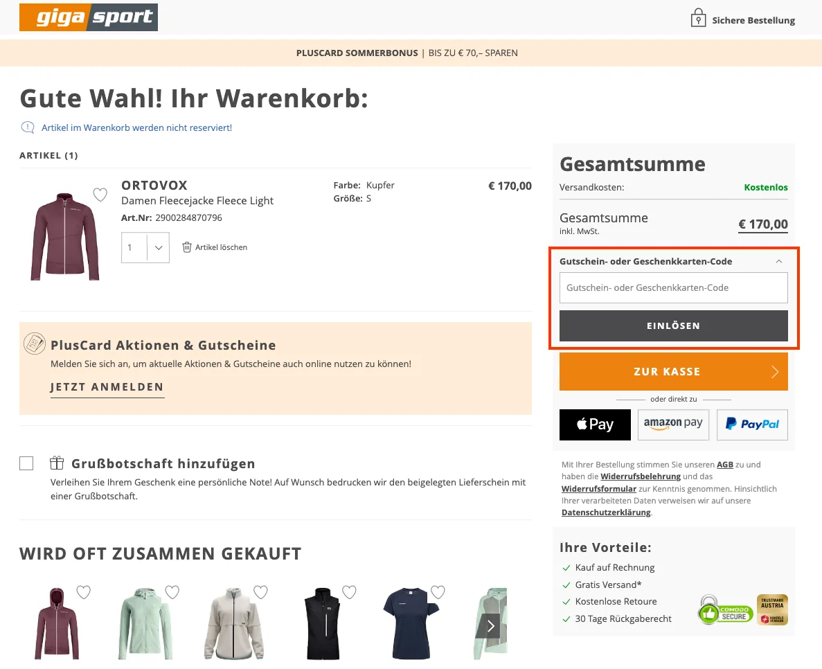 So verwendest du die Gutscheincodes - Gigasport